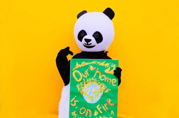 Mascota Panda cu mesaj de mediu. Conceptul despre oameni, a — Fotografie, imagine de stoc