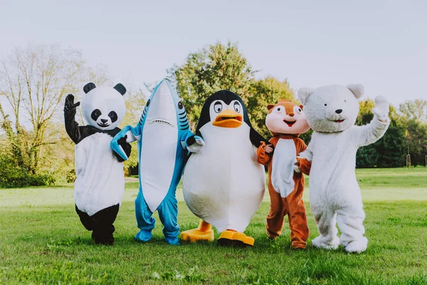 Sekelompok maskot hewan melakukan pesta — Stok Foto