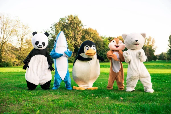 Grupa zwierząt maskotki robi imprezę — Zdjęcie stockowe