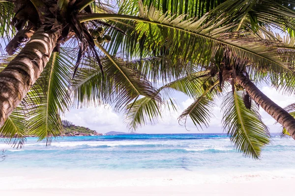 Seychelles, seychelles — Foto de Stock