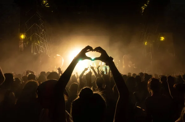Crowd Fest Konserten Moltitude People Having Fun Event Strobe Lights — Stockfoto