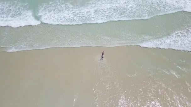 Milenci utíkají k oceánu, aby si zaplavali v čisté a teplé vodě. Svislý výstřel Drone 4k — Stock video