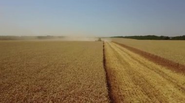 Hasat sahaya gidiyor. Drone sahaya yakın uçuyor ve sonra 4 km yörüngeye giriyor.