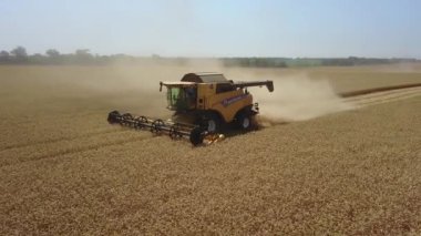 Hasat İHA 'dan düşük açıyla yapılıyor. Buğday topluyorum. 4k