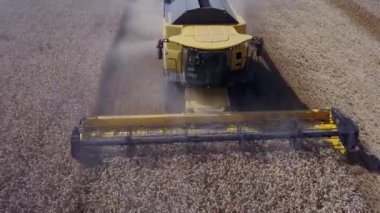 Close up shot of harvester which collecting grains of wheat in field in hope of rich harvest 4K footage
