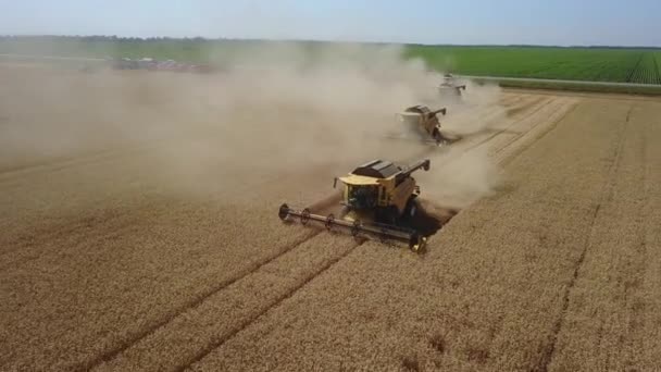 Harvesters start collect harvest in the field summer drone shot 4K — ストック動画
