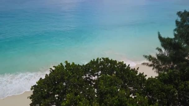 Vliegen achter de bomen naar de oceaan Seychellen eiland 4k — Stockvideo