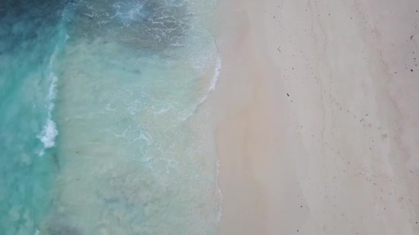 Vertical tomar a lo largo de la playa drone disparar como olas lavar la arena blanca de Seychelles islas 4K material de archivo — Vídeos de Stock