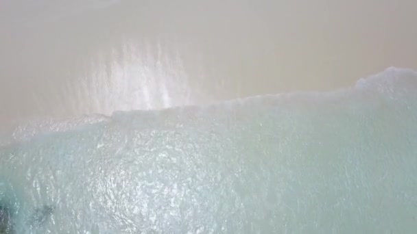 Belle image verticale du drone montre vagues laver la côte à Hawaï séquences 4K 