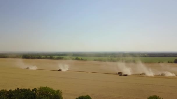 Fantastische Drohne, die hinter Holz auf viele Erntemaschinen geschossen wird, die Weizenkörner ernten 4k — Stockvideo