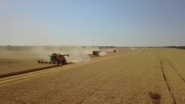 Birçok hasat aracı, yüksek dikey drone atışlarından elde edilen zengin buğday hasadını almak için arka arkaya gider.