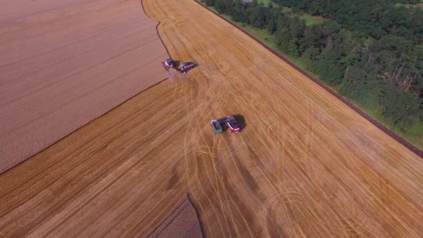 Hermoso plano de gran angular aéreo donde tres combinados están trabajando en el campo para la cosecha de trigo 4K — Vídeo de stock