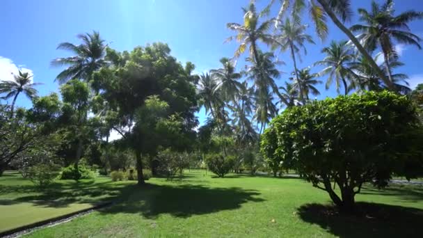 Paradijselijke plek van gimbal met een prachtig uitzicht op palmen en een andere bomen in het nationale park in Malediven eiland gladde schieten 4k beeldmateriaal — Stockvideo