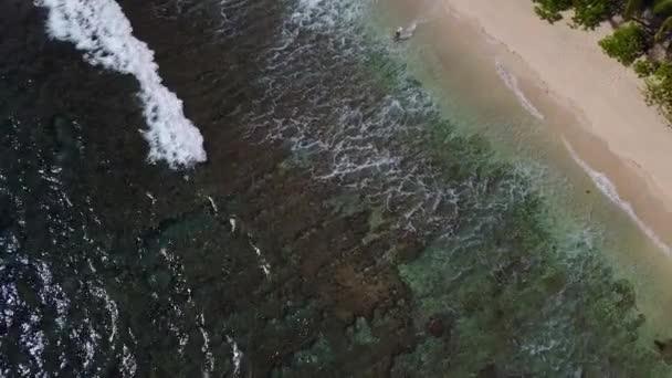 드론으로찍은 아름다운 수직 사진은 세이셸 프라슬린 4K 화면에서 해안을 씻는 모습을 보여준다. — 비디오