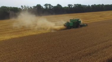 Hasatçı tarlaya gider ve güneşli bir günde buğday toplar.