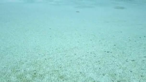 Côte des Bahamas avec vue imprenable sur l'île dans la mer des Caraïbes 4K — Video