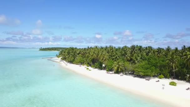 Luxurious drone view of the island beach in the Caribbean on a sunny day 4K — ストック動画