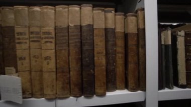 Kütüphanedeki HD görüntülerde düzinelerce antik kitap var.