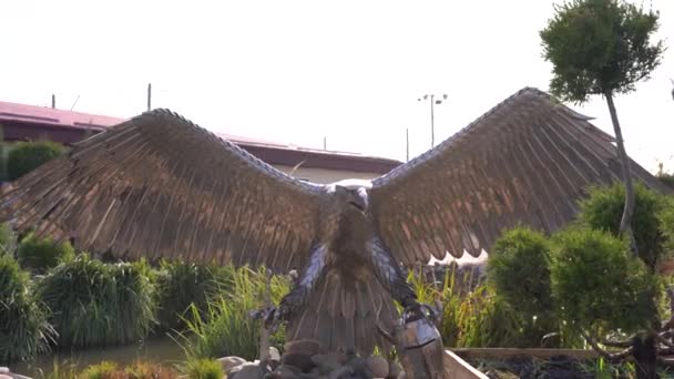 Bronzo Statua di un'aquila stese le ali dal controllo del movimento 4K — Video Stock