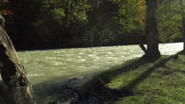 Rivière sauvage dans un endroit inaccessible entre les montagnes. Mémoire de 4K — Video