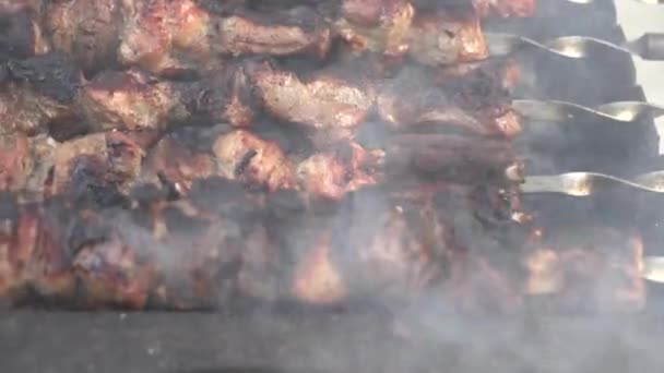 Pedaços Apetitosos Churrasco Grelhados Carvão Vegetal Filmagem — Vídeo de Stock