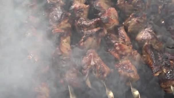 Cook Flips Skewers Delicious Kebab Top Shooting Point Footage — Stock Video