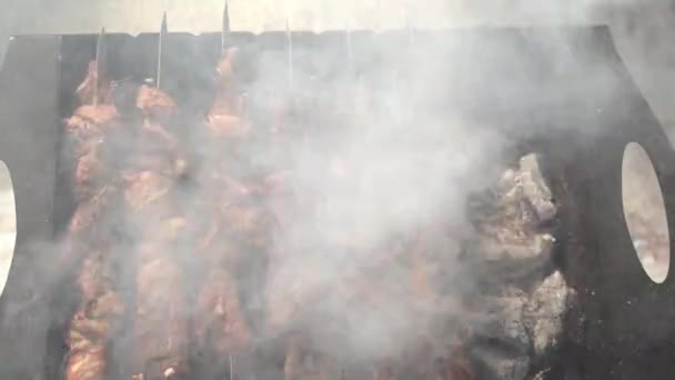 炭火で焼くバーベキューの食欲をそそる作品4K映像 — ストック動画