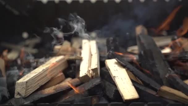 Cocinero Pone Pinchos Con Barbacoa Parrilla — Vídeos de Stock