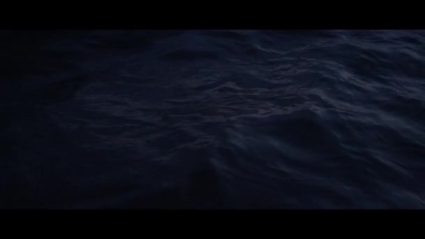 Ωκεανός μέσα στη νύχτα. Τα κύματα φωτίζονται από το φεγγάρι πριν την καταιγίδα. Κόκκινο EPIC υλικό — Αρχείο Βίντεο
