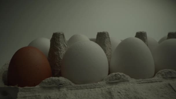 Panorama de huevos en la celda.Un huevo es de color diferente a otro. Fondo blanco. Imágenes crudas — Vídeos de Stock