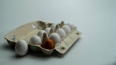 Çerçevenin sol tarafında tavuk yumurtası var. Beyaz yumurta yerine bir uzaylı yumurtası. Düşük açılı çekim