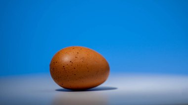 Beyaz yüzeyde mavi eğimli güzel bir yumurta.