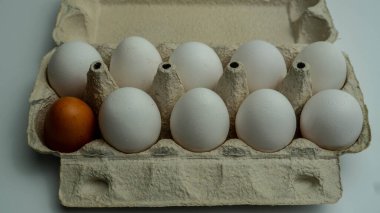 Tepside bir sürü beyaz yumurta var. Aralarında bir siyah yumurta var. Üst açı görüntüsü