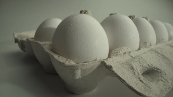 Macro shot of many eggs in the cell. Close up egg in the foregorund. White background — Stock Video