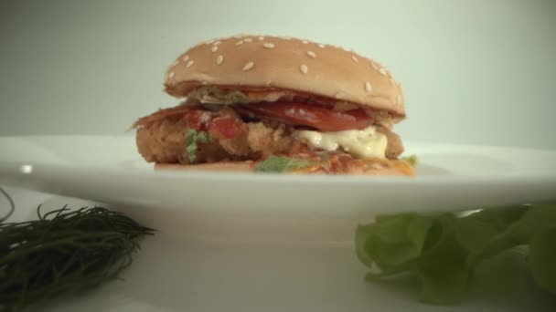 Lahodný cheeseburger leží na talíři obklopený čerstvými rajčaty, petrželí, sýrem — Stock video