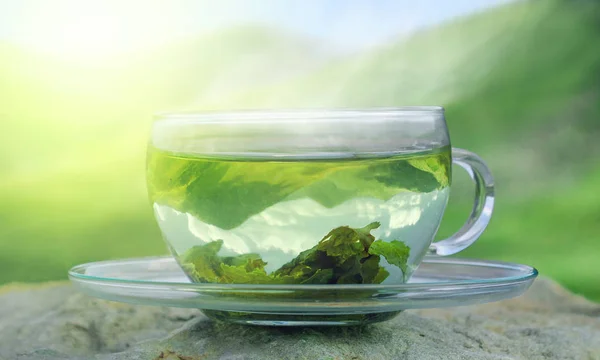 Hora del té verde. Hojas de té verde en la parte inferior de la taza. Té caliente. Té verde sobre un fondo de montañas . — Foto de Stock