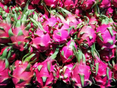 Üst görünümü olan pembe ejderha meyvelerini yakın plan ya da duvar kağıdıdır.