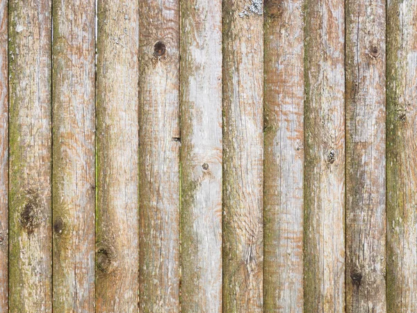 갈색 과 녹색을 배경으로 한 나무판 — 스톡 사진