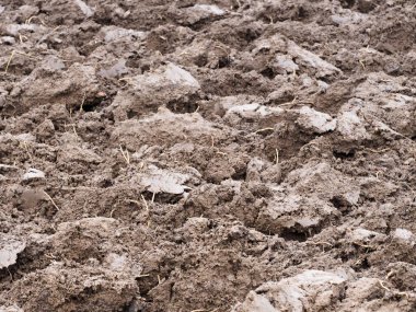 Plowed land on a farm field