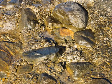 Sahilde ıslak taşlar. Tuapse, Karadeniz, Kafkaslar