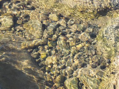 Denizin dibindeki taşlar. Tuapse, Karadeniz, Kafkaslar