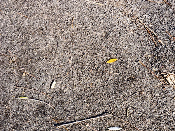 Fundo de pedra escura com impressões de caules e folhas — Fotografia de Stock