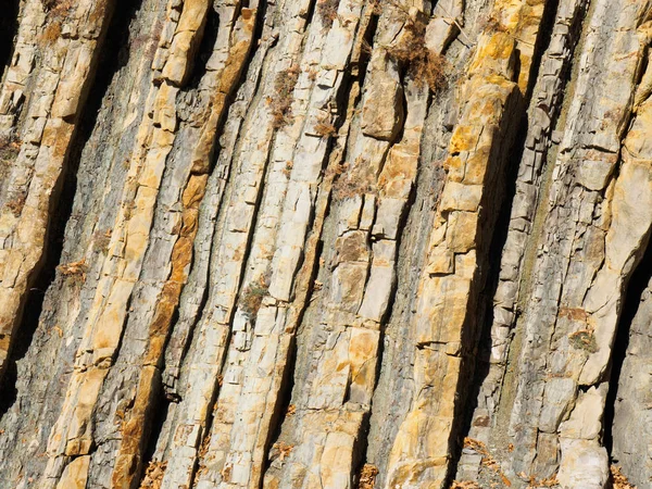 Каменные скалы на берегу моря. Туапсе, Черное море, Кавказ — стоковое фото