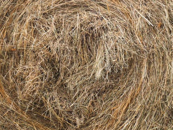 Stapel gedroogd gras achtergrond, close-up Kaukasus — Stockfoto