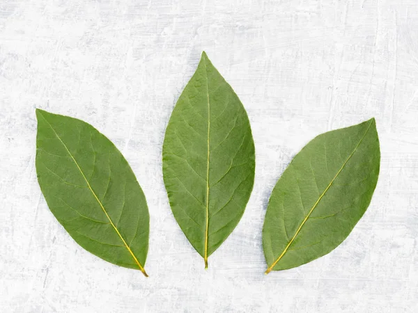 Three bay leaves on a white concrete background. Healthy eating — Stock Photo, Image