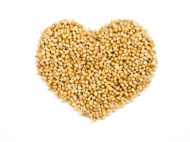 Shape of a heart from coriander (Coriandrum sativum)
