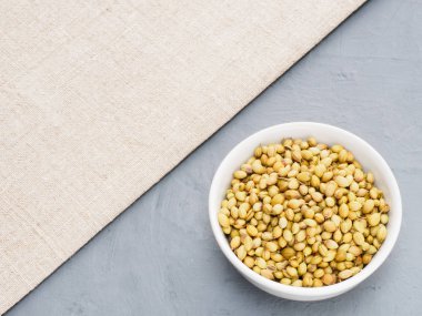 Spice coriander (Coriandrum sativum) in white cup on gray concre