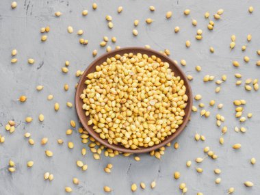 Spice coriander (Coriandrum sativum) seeds in clay plate on gray