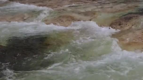 Blízko Pěnivé Vody Horské Řeky Rusko Kavkaz Psebay — Stock video