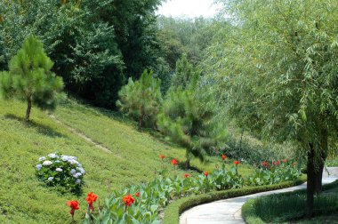 Parkta yürüyüş yolu. Yeşil ağaçlar, kırmızı ve beyaz çiçekler